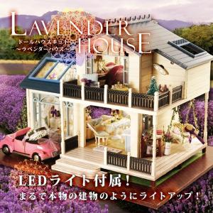 LEDライト 付属 ディスプレイ用 ケース付き 西洋風 ドー...