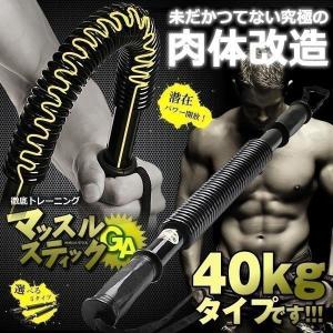 マッスルスティックGA 40kgタイプ アームバー 振ったり 曲げたり お手軽 トレーニング 筋トレ バネ スプリング YT-B106-40