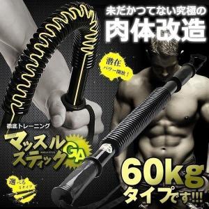 マッスルスティックGA 60kgタイプ アームバー 振ったり 曲げたり お手軽 トレーニング 筋トレ バネ スプリング YT-B106-60｜aspace