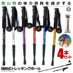 トレッキングポール 2本セット 調節可能 格納式 登山杖 アンチショック
