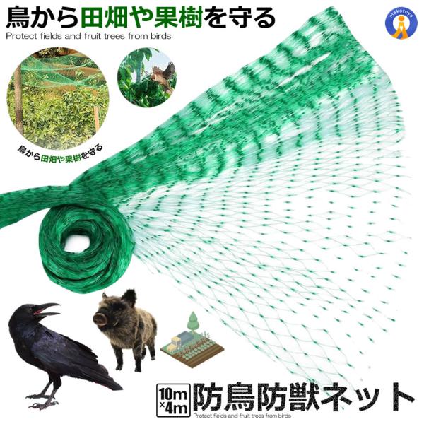 防鳥ネット 防鳥網 4×10m ベランダ 鳥よけ ネット 取り付け カラス避け 鳩避け 野良猫侵入防...