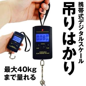 吊りはかり 釣り 荷物 旅行 電子はかり 携帯式デジタル