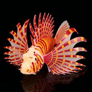 海水魚 ミノカサゴ ペット用品 生き物 の商品一覧 通販 Yahoo ショッピング