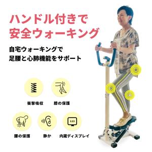 ステッパー ハンドル付き Aspiracion...の詳細画像2