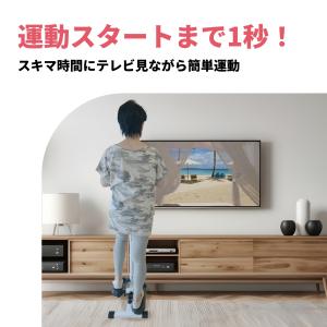 ステッパー ハンドル付き Aspiracion...の詳細画像5