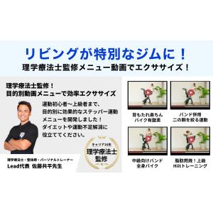 リカンベントバイク エアロバイク 静音 フィッ...の詳細画像3