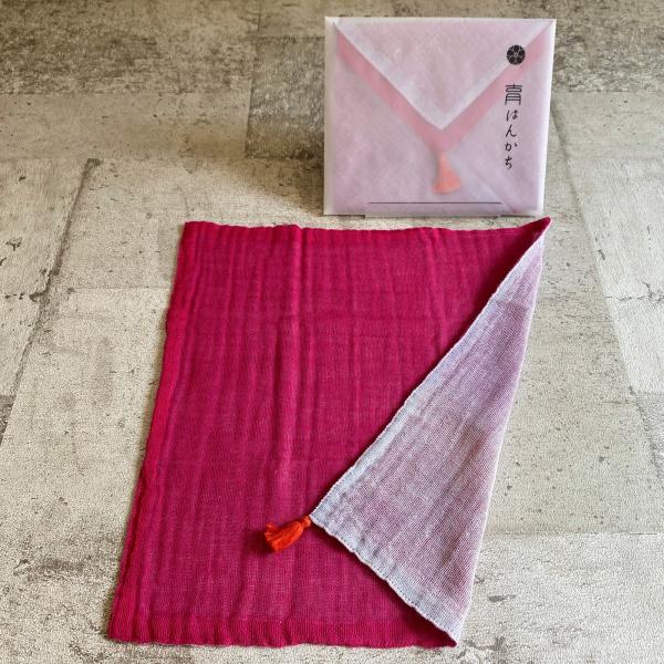 育はんかち・WDH-0093/藤