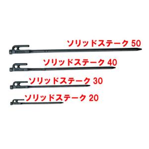 SNOWPEAK-スノーピーク ソリッドステーク20の詳細画像1