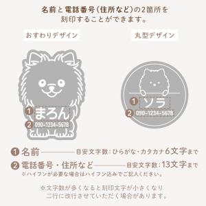 ペットライト 光る 迷子札 お名前キーホルダー...の詳細画像2