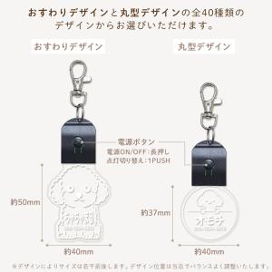 ペットライト 光る 迷子札 お名前キーホルダー...の詳細画像3