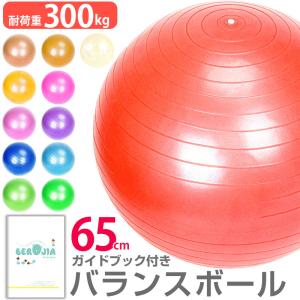 バランスボール 65cm 空気入れ ポンプ付き ノンバースト