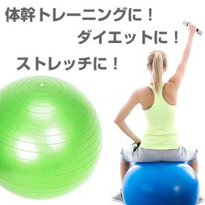 バランスボール 65cm 空気入れ ポンプ付き...の詳細画像1