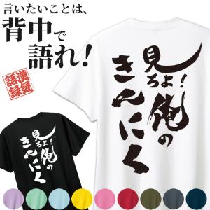 THE VINES バンド Tシャツ XL ブラック ザ・ヴァインズ The Vines 音楽Tシャツ ロックTシャツ バンドTシャツ