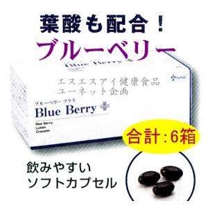 ブルーベリー プラス x6箱セット　ssi健康食品｜assi