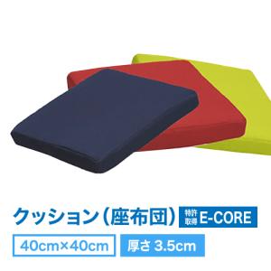 クッション・座布団  水洗いOK 日本製E-CORE 防ダニ防臭 (40×40/厚さ3.5cm)　｜assist-2019