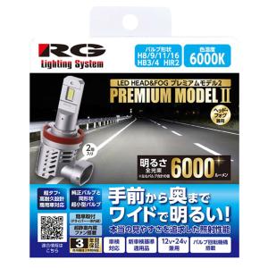 RACING GEAR RG レーシングギア RGH-P934 LEDヘッド＆フォグバルブ H4