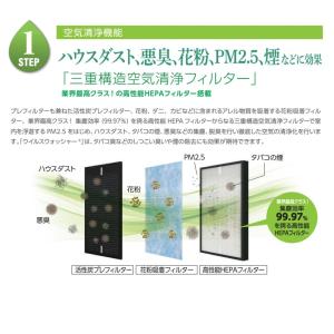 お部屋の除菌 花粉やPM2.5対策 次亜塩素酸...の詳細画像5