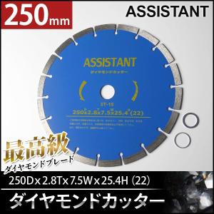 ダイヤモンド砥石 ダイヤモンドカッター 乾式 湿式 切断用 替刃 セグメント コンクリート レンガ ブロック タイル 道路 調整リング付 250mm