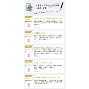 爆買 ニッコー 10連スライドハンガー F-1...の詳細画像1