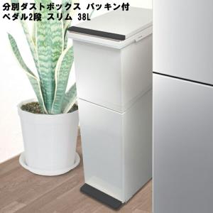 【廃番・倉庫】分別ダストボックス パッキン付 ペダル2段 スリム 38L アスベル