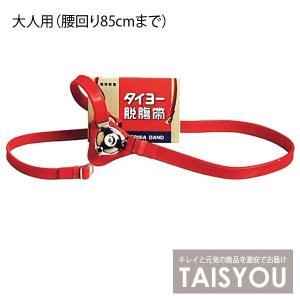31日閉店 5%OFF タイヨー脱腸帯片側用 E号（大人用/腰まわり85cmまで）太陽医療品製作所（脱腸治療用ストラップ）