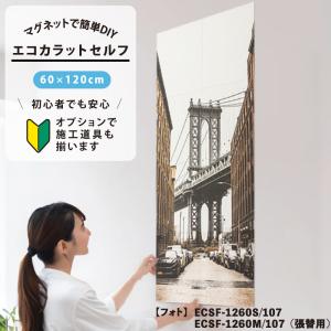 LIXIL（リクシル） LIXIL INAX / エコカラットプラス 初心者 簡単DIY