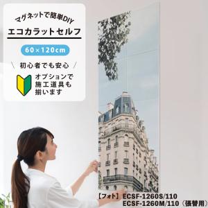 ★ 新品未開封 ★LIXIL エコカラット セルフ 楽天市場】【マラソン限定エントリーで更にP10倍】 エコカラットセルフ