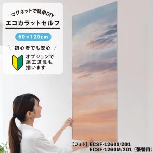 LIXIL（リクシル） LIXIL INAX / エコカラットプラス 初心者 簡単DIY