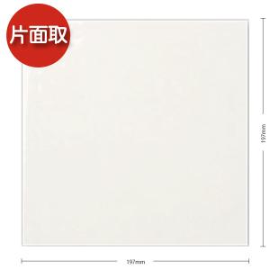 KYタイル / レザーノ 200角片面取 LER...の商品画像