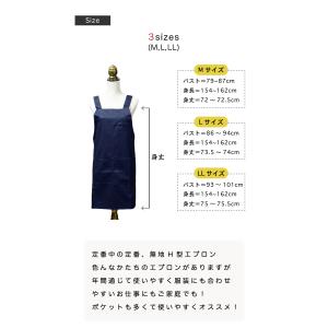 エプロン 三角巾 セット 大人 h型 中学生 ...の詳細画像4