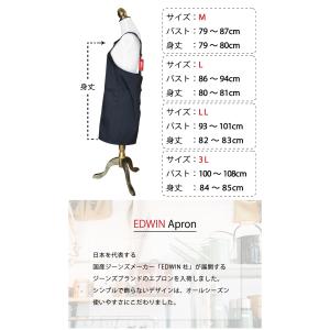 エプロン 三角巾 セット 大人 中学生 h型 ...の詳細画像4