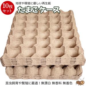 卵トレー 送料無料 紙製 10枚 卵パック たま...の商品画像