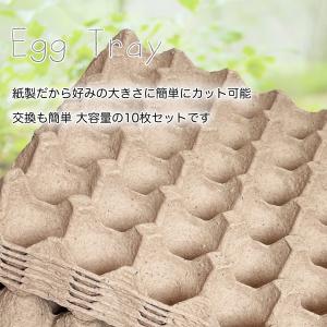 卵トレー 送料無料 紙製 10枚 卵パック た...の詳細画像2