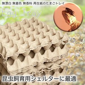 卵トレー 送料無料 紙製 10枚 卵パック た...の詳細画像3