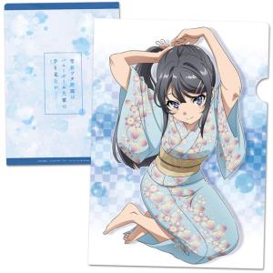 東方projectクリアファイル「魂魄妖夢2」 -きっどているず- 東方