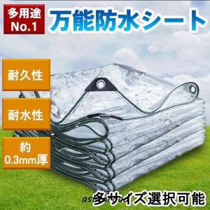 防水シート 防雨 透明シート シート 家庭用 園芸用 ベランダ 雨よけシート 植物保護 アウトドア 防風 隔離 防塵 PVC 屋外用 屋根 耐引裂性 雨除けカーテン 庭 園