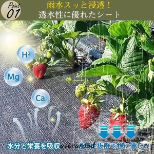 防草シート 雑草対策 厚手 1mx50m 防草...の詳細画像3