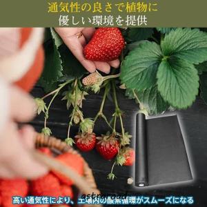防草シート 雑草対策 厚手 1mx50m 防草...の詳細画像4