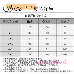 水着 メンズ 水泳 フィットネス水着 競泳 ス...の詳細画像4