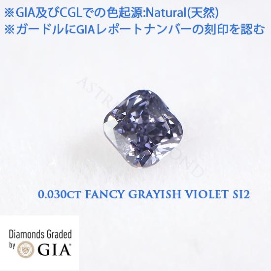 GIAレポート付 CGLソーティング付 0.030ct Fancy Grayish Violet S...
