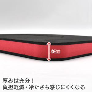 ミニメカニックマット | ニーパッド クッショ...の詳細画像2