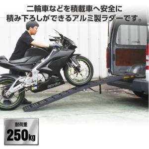 アルミラダー ブラック AL550 | ラダー...の詳細画像1