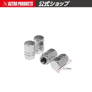 Harley Davidson（ハーレー・ダビッドソン） 2％er ローパス