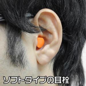 耳栓 2個 ポリウレタン アストロプロダクツの詳細画像1