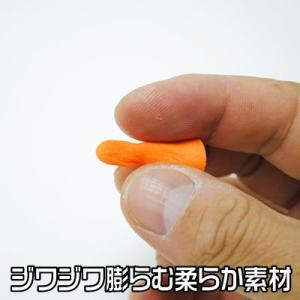 耳栓 2個 ポリウレタン アストロプロダクツの詳細画像2