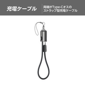 槌屋ヤック ZE95 YAC TOOLストラップ USB AtoC Type-C変換ケーブル