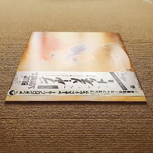 美盤 レア物 紅い牙 ブルー・ソネット 198...の詳細画像2