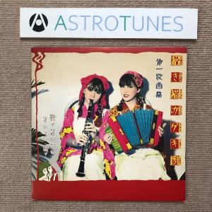 良盤 サンハウス Sonhouse 1983年 LPレコード ポイズン Poison 国内盤