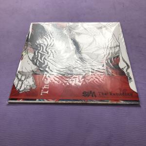 未使用新品 2022年 レア盤 シム Sim ...の詳細画像2