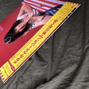 傷無美盤 激レア 1985年 早川めぐみ 12...の詳細画像3